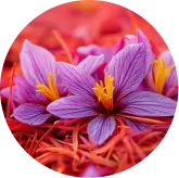 Passion Flower