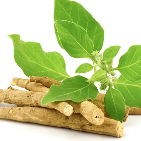 Ashwagandha