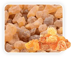 Boswellia