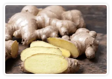 Ginger Root - Natural Blood Pressure Support