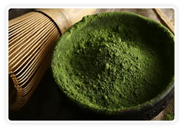 Green Tea - Metabolism Support