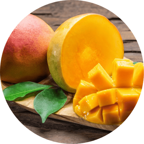 African Mango Seed Extract