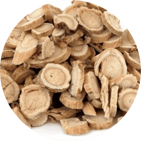 Astragalus Root