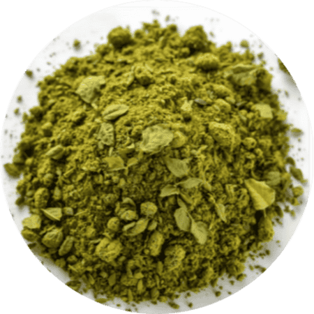 Green Tea Extract