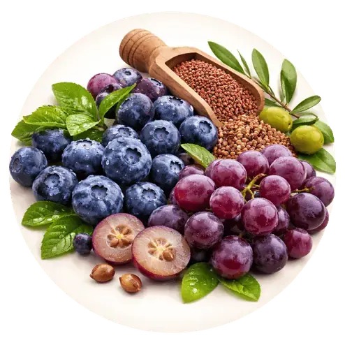 Clinical Fruit Extract Blend